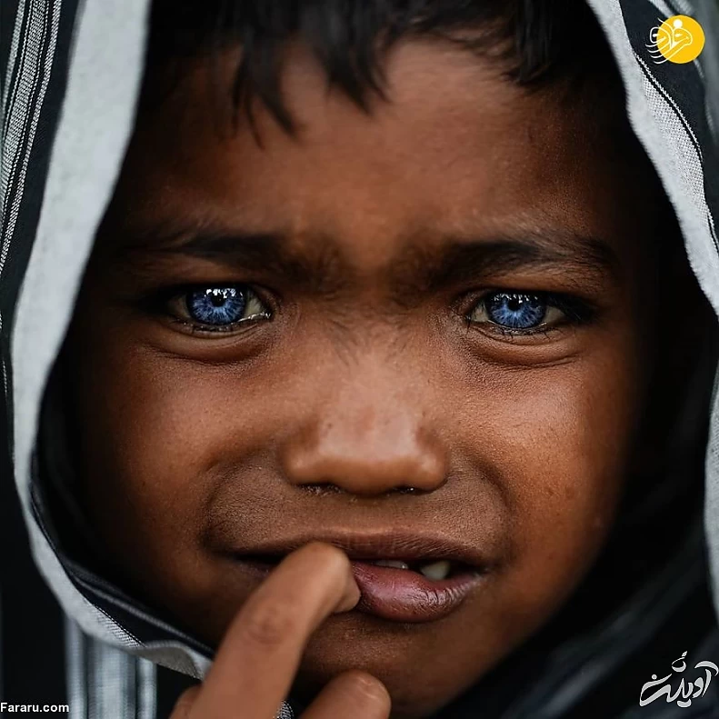 (تصاویر) (تصاویر)